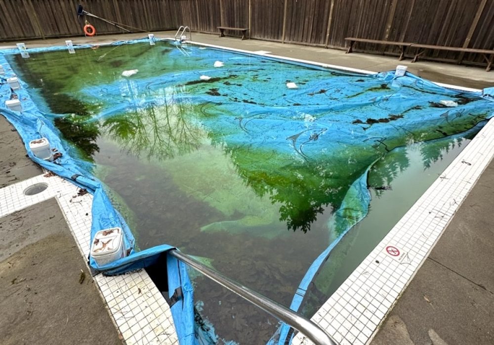 449E28D5 6538 46BB A208 DCB3C67D34AE (1)